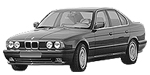 BMW E34 B3245 Fault Code