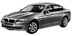 BMW F10 B3245 Fault Code